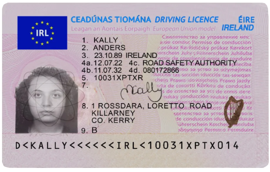 irish driving licence