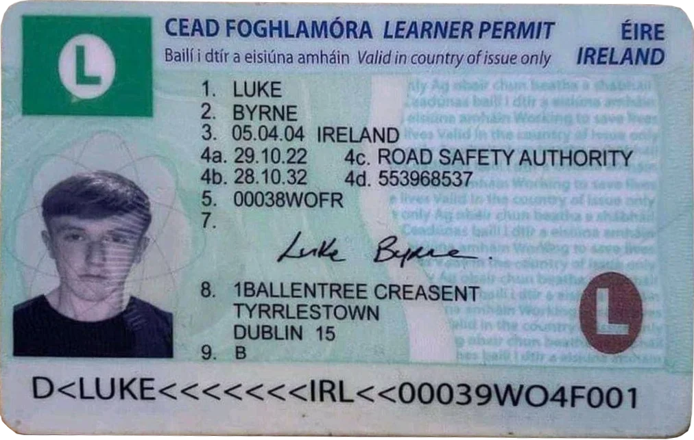 irish driving licence